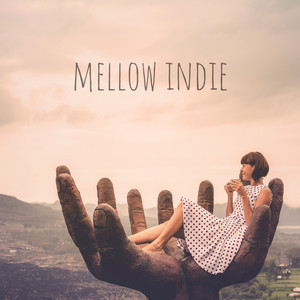 Mellow Indie Spotify playlist cover art