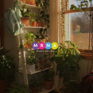 Indie Mix playlist cover