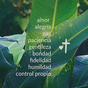 SPANISH AND ENGLISH MIX 🤍 CHRISTIAN WORSHIP MUSIC cover