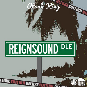 Reignsound (Deluxe Editon) Spotify playlist cover art