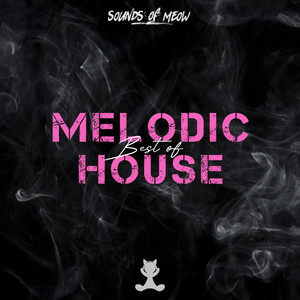 Melodic House Spotify playlist cover art