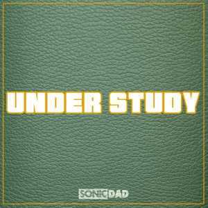 Under Study  - Indie Study Vibes – Chill Focus & Alternative Spotify playlist cover art