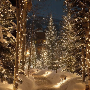 the only christmas playlist you’ll ever need🎄