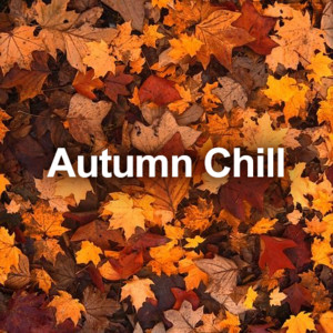 fall songs 2026 🍁🍂 cozy autumn vibes playlist cover