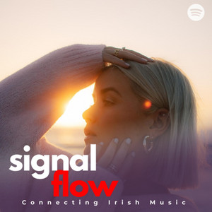 Signal Flow