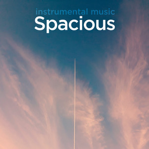 Spacious Instrumental Music playlist cover