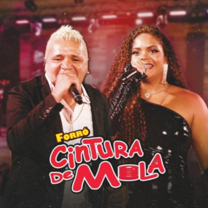 Cintura De Mola - 2027  As Melhores | Cintura De Mola Só As Melhores  playlist cover