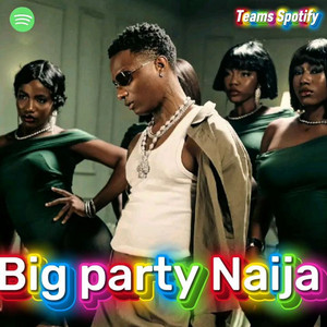 Big party Naija