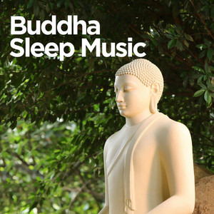 Buddha Sleep Music | Tranquil and Zen Sounds playlist cover