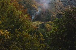 Chill autumn tunes.