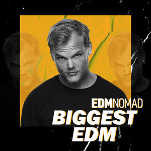 EDMNOMAD - The Biggest EDM songs in History playlist cover