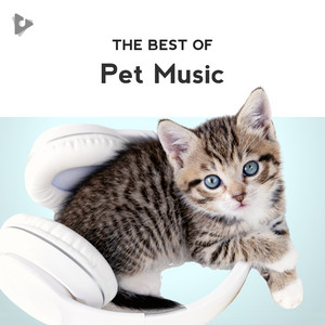 The Best of Pet Music