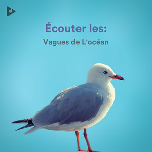 Écouter les: Vagues de L'océan