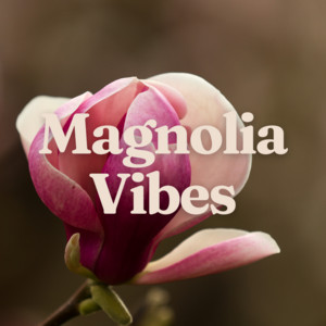 Magnolia Vibes cover