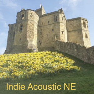 #daz’s Indie acoustic NE playlist cover