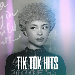 TikTok Hits cover