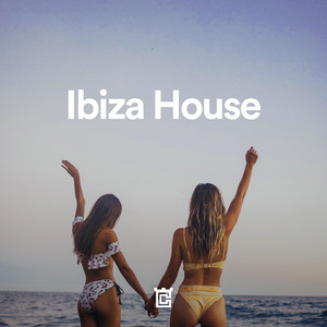 Ibiza House 🏝️🌴🌞 Summer Mix 2026 playlist cover