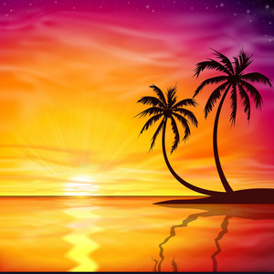 Soft Afro playlist cover