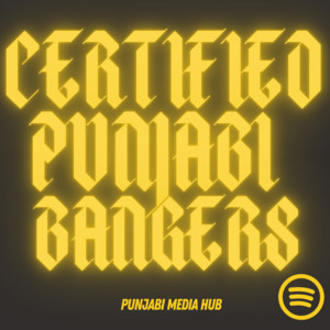 Certified Punjabi Bangers 🔥 playlist cover