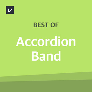 Best of Accordion Band cover art