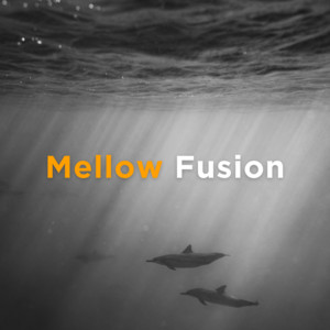Mellow Fusion playlist cover
