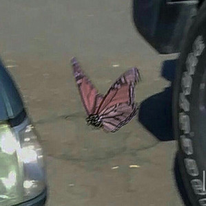 Imagem de Andromeda