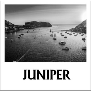 Session 14: A Glass of Wine in Port Andratx