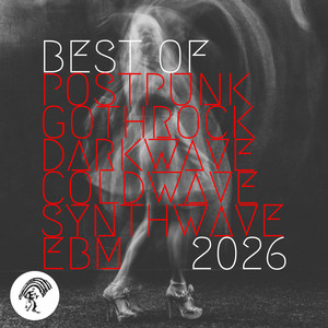 BEST OF 2026 Post Punk Goth Rock Darkwave Coldwave Darksynth EBM Neue Deutsche Welle playlist cover