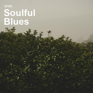 Soulful Blues cover