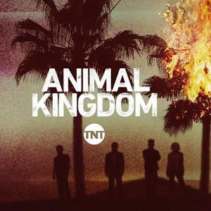 ANIMAL KINGDOM  Season 1, 2, 3, 4, 5, 6 - Greatest Mix playlist cover