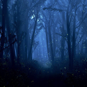 Late Night Tales of Winter playlist cover