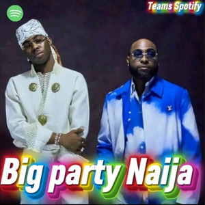 Big party Naija