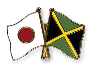和レゲエ レコード16枚セット　和モノ REGGAE まとめ売り 和ブギー 和モノ レゲエ ｜和レゲエ｜Japanese Reggae Riddim ｜レゲエ歌謡