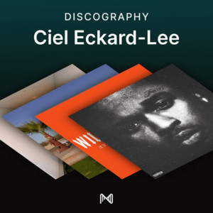 spotify image