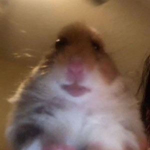 Berto
