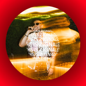 This Is Zignalez