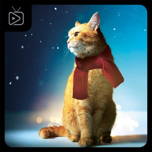 A Street Cat Named Bob Soundtrack