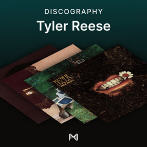 spotify image