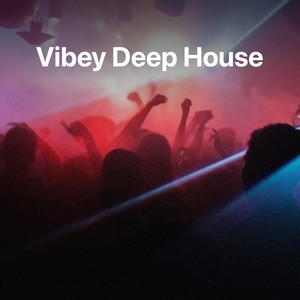 Vibey Deep House / UK House 2025