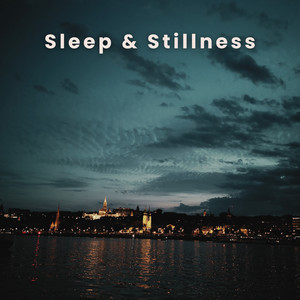 Sleep & Stillness Spotify playlist cover art