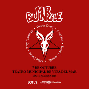 Mr Bungle