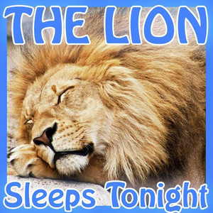 In The Jungle, The Mighty Jungle, The Lion Sleeps Tonight... 🦁 playlist cover