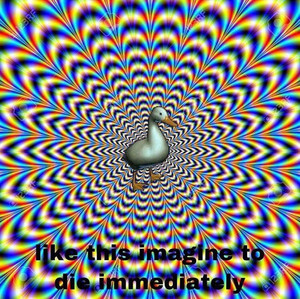 Cover of tripping