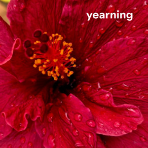yearning cover
