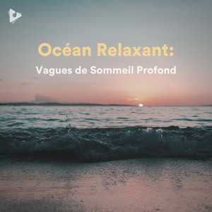 Océan Relaxant: Vagues de Sommeil Profond