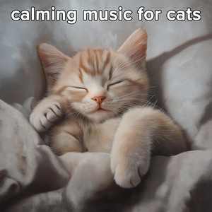 calming music for cats playlist cover