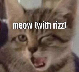 songs i'd meow at