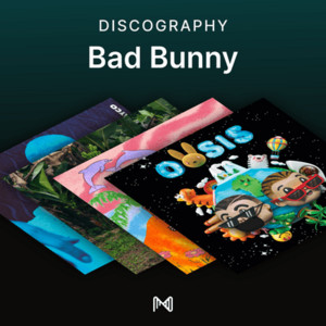 spotify image