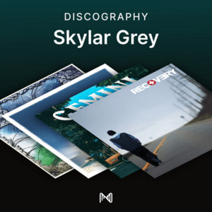 spotify image