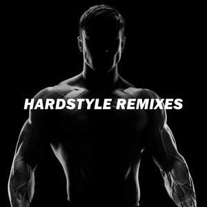 Hardstyle Remix 2024 / Hard Style Covers playlist cover